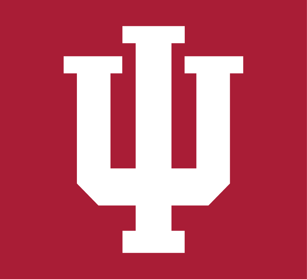 Indiana Hoosiers 2002-Pres Alternate Logo v2 diy DTF decal sticker